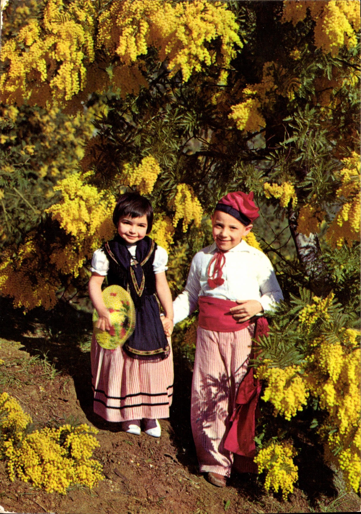 CPM Cote d'Azur Enfants en Costumes Nicois 