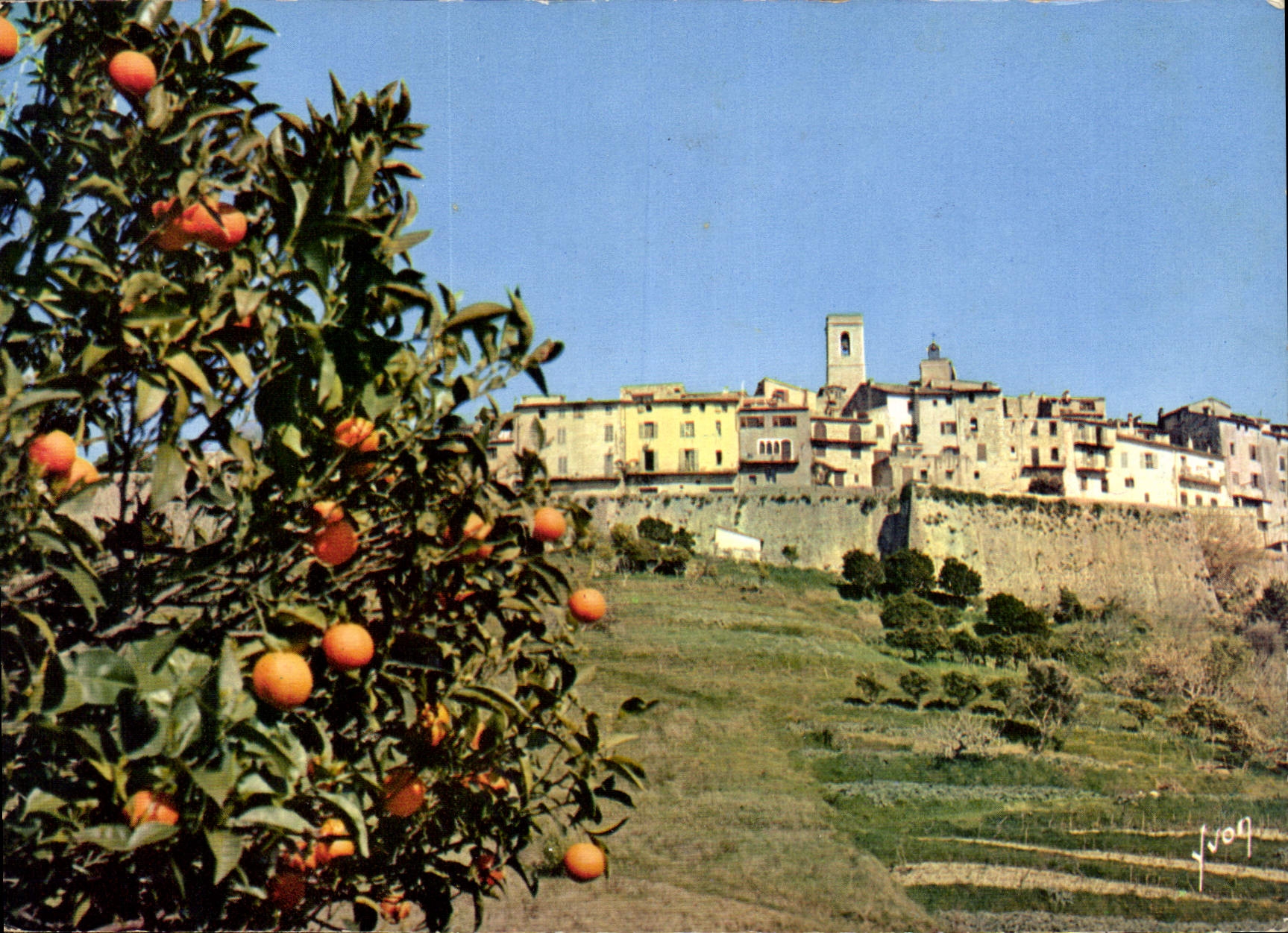 Saint-Paul-de-Vence — Vue générale — Éditions dart Vion