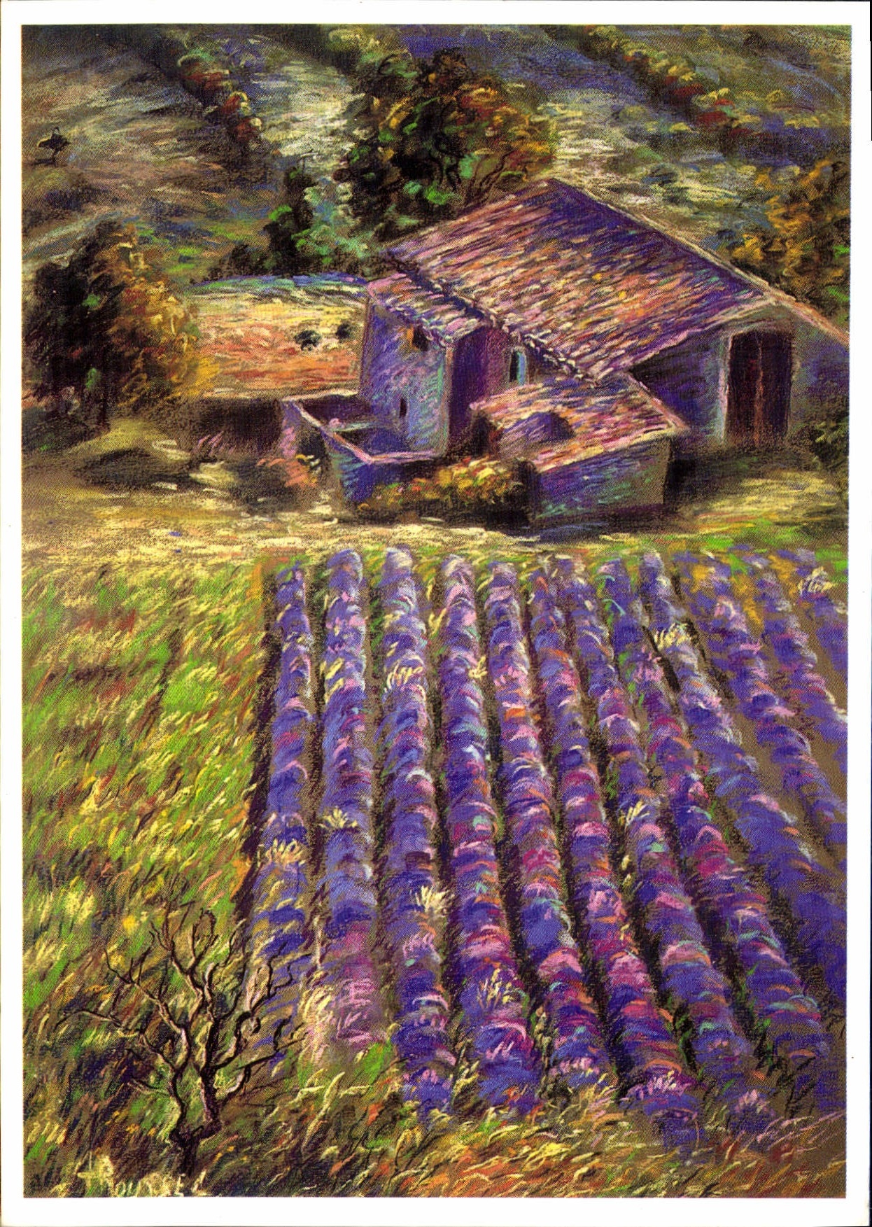 CPM Lavande en Haute Provence Anne Roussel Carnet de Provence 