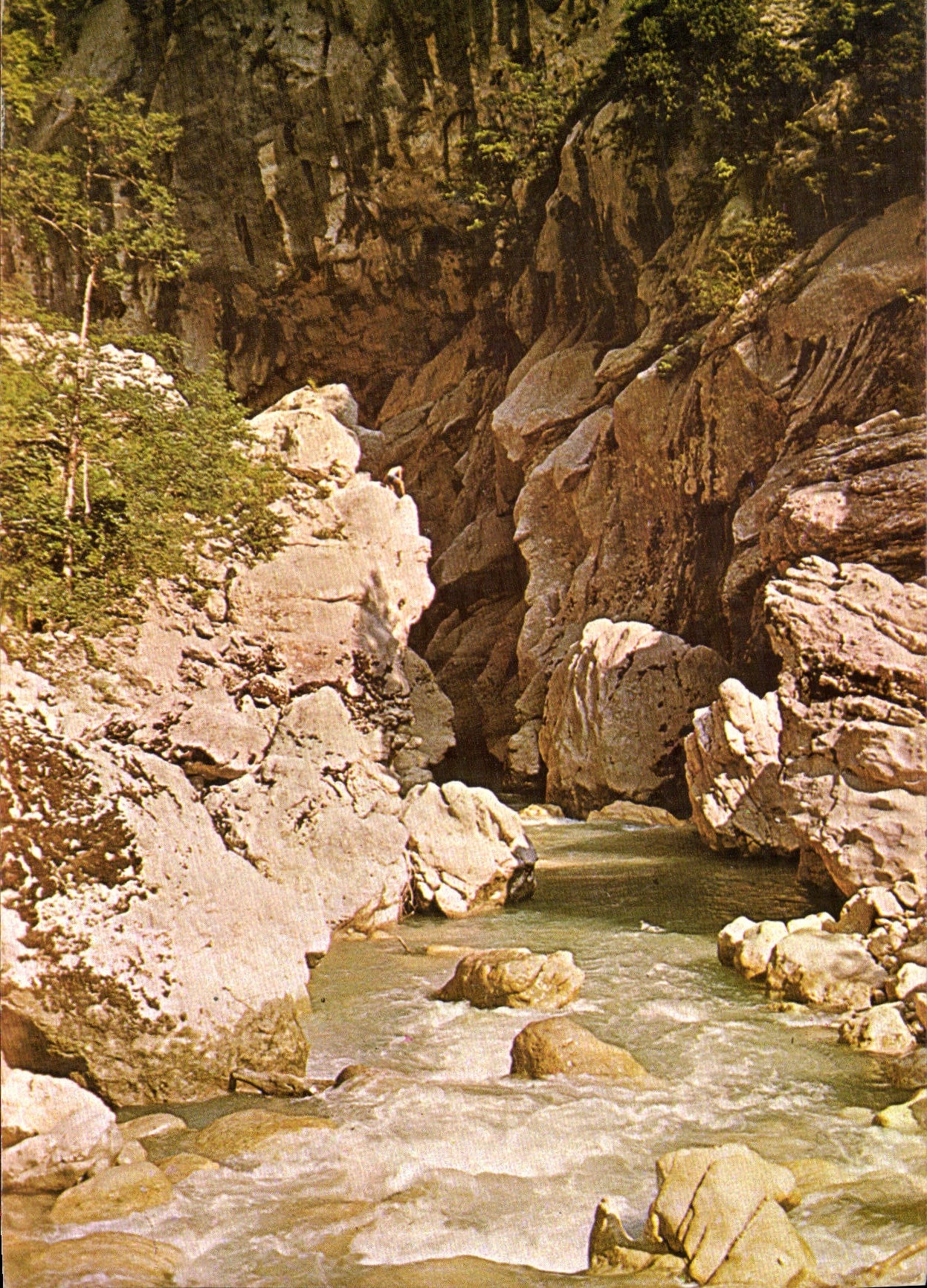 CPM Gorges du Verdon Alpes de Haute Provence L'Entree du Styx 