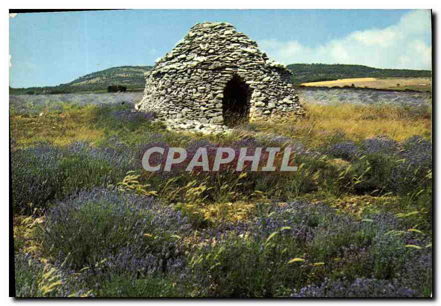 Ruines de lavande — Provence — Éditions de Provence G.A.L.