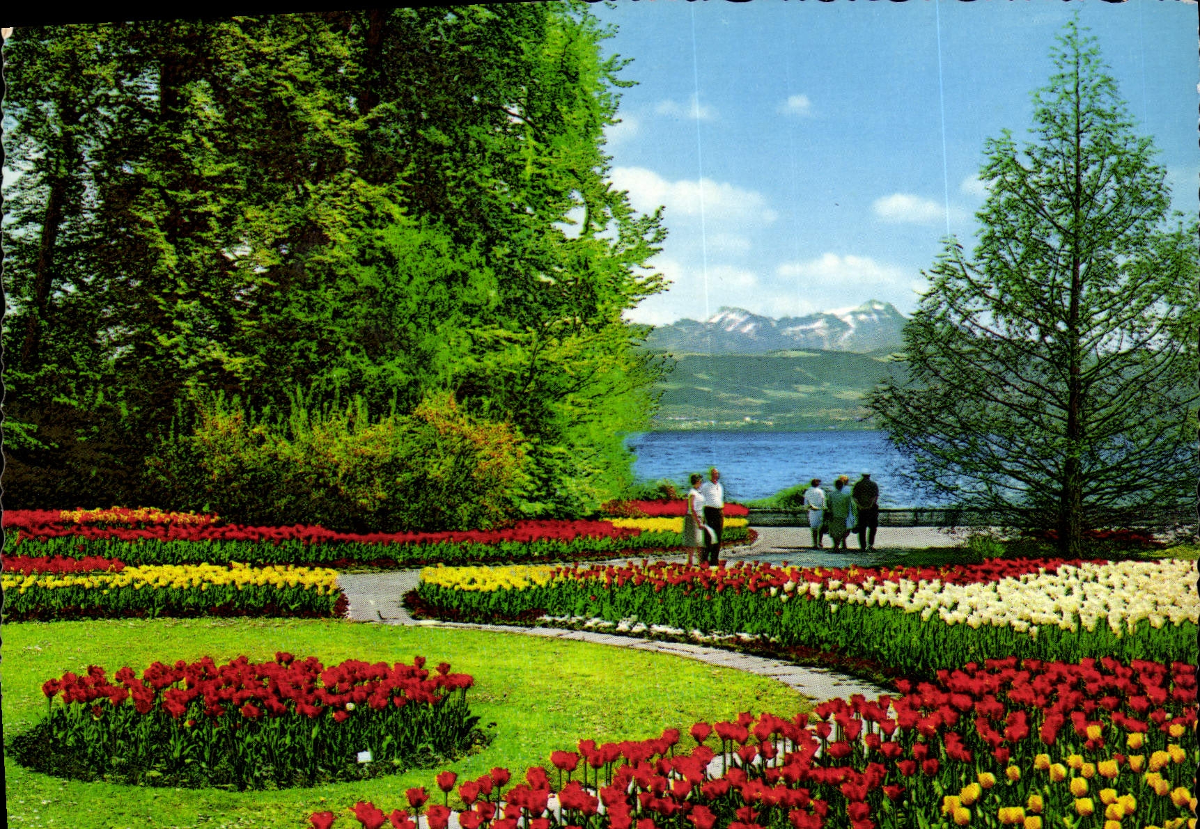 CPM Insee Mainau Im Bodensee 