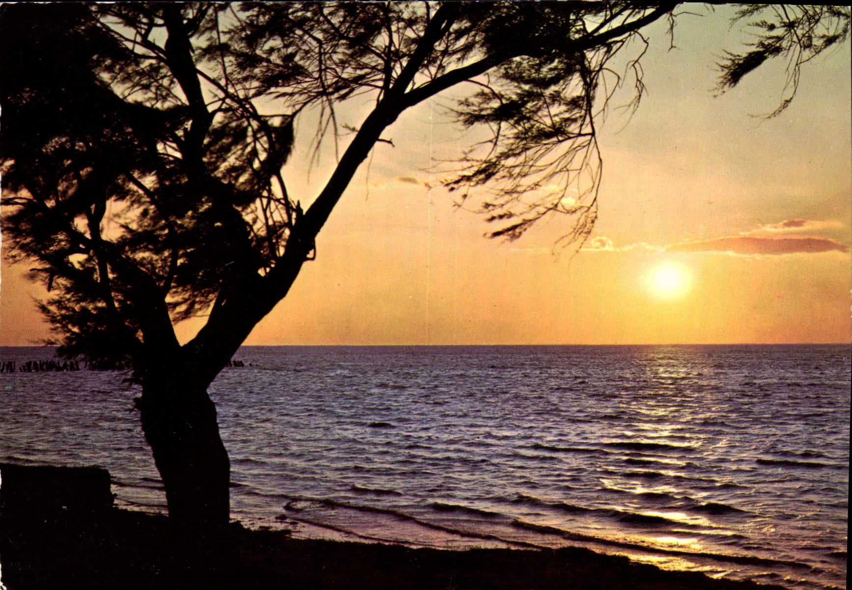 CPM Coucher de Soleil sur la Mer 