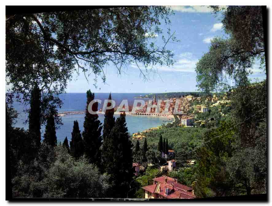 CPM Menton AM Vue generale prise a travers les oliviers 