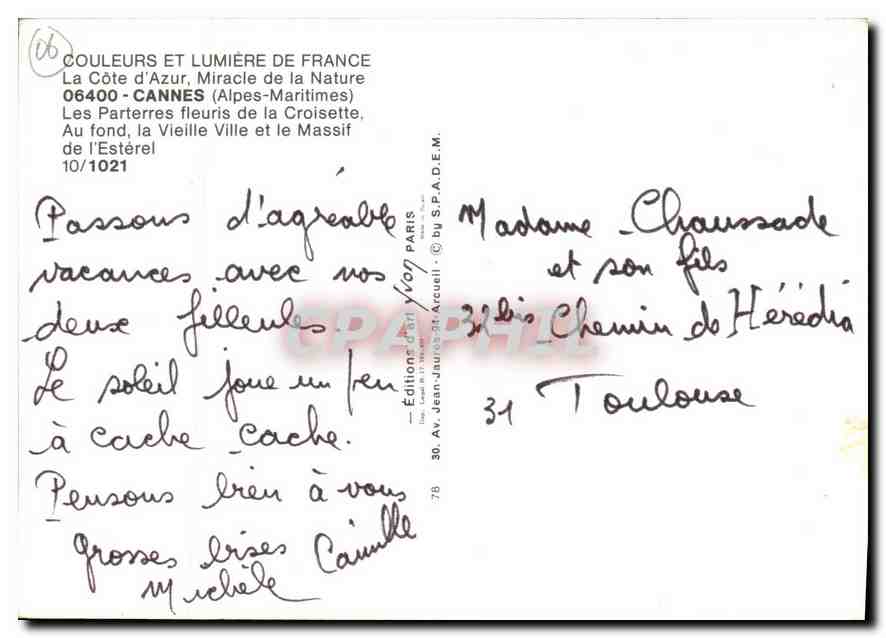 CPM Cannes Alpes Maritimes Les Parterres fleuris de la Croisette  — Rückseite