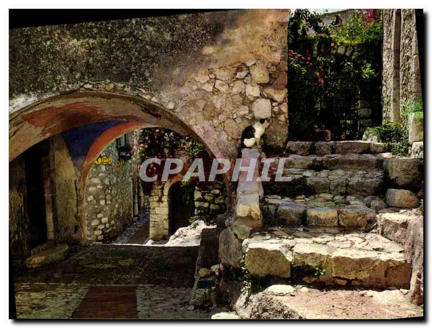 CPM Eze Alpes Maritimes Vieille rue pittoresque 