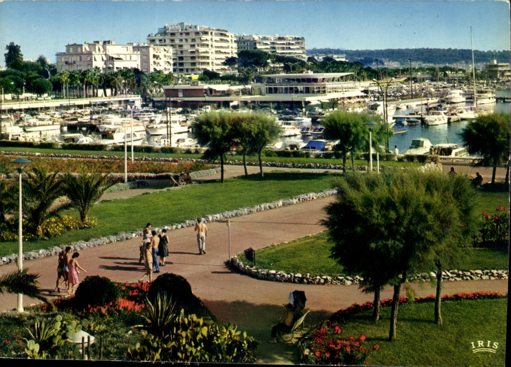 CPM Cannes A Mmes Le Port Canto et les Jardins 