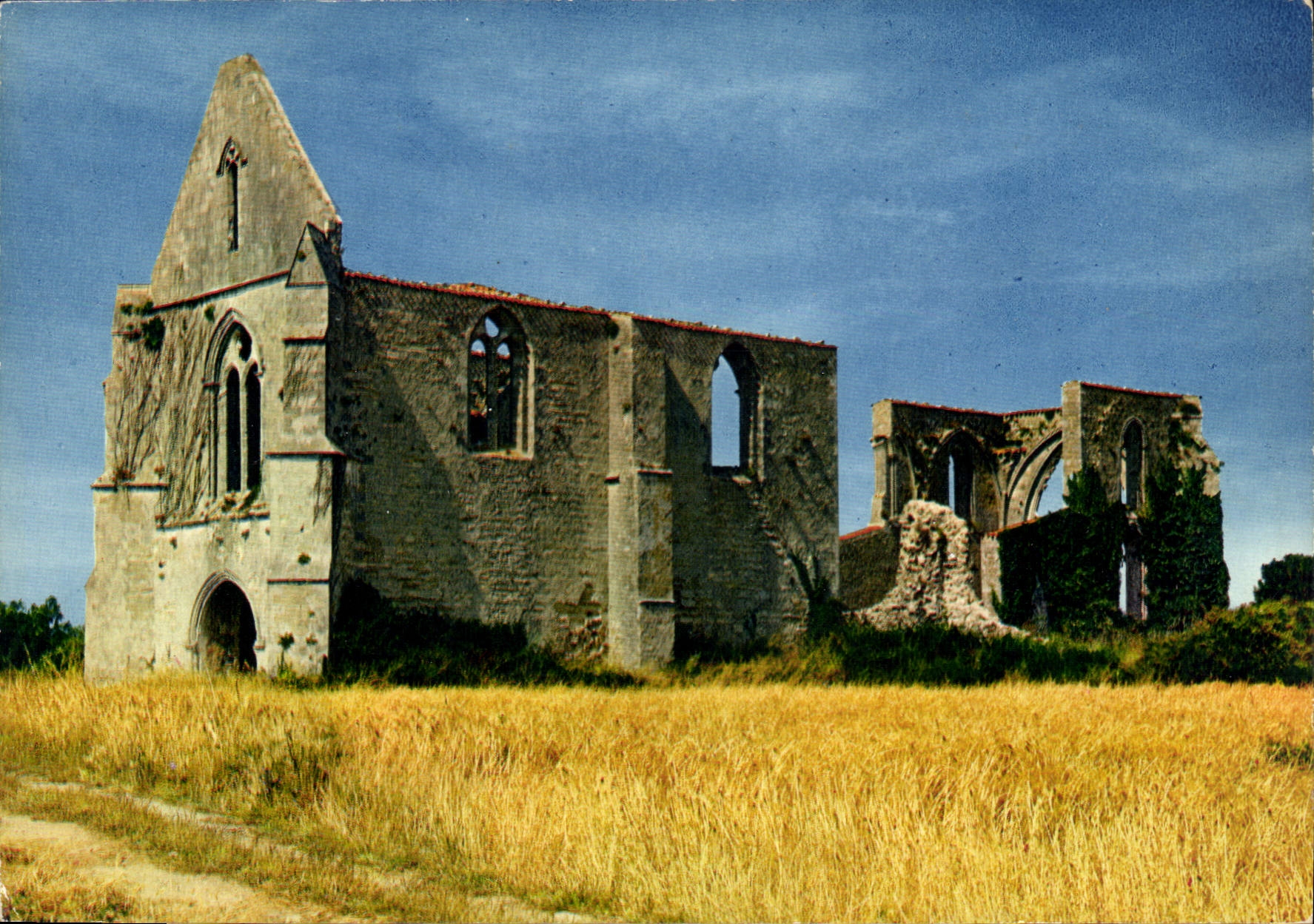 CPM Ile De Re Ruines de l'Ancienne abbaye des Chateliers 
