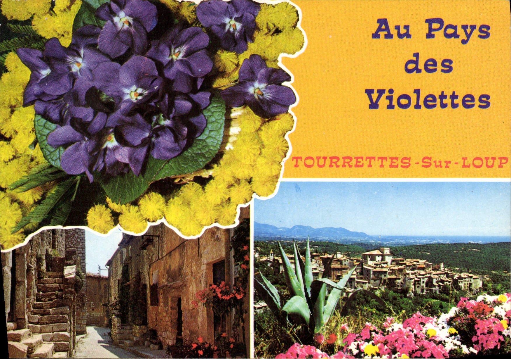 CPM Cote d'Azur French Riviera L'Arriere pays pittoresque Tourrettes sur Loup au pays des Violettes 