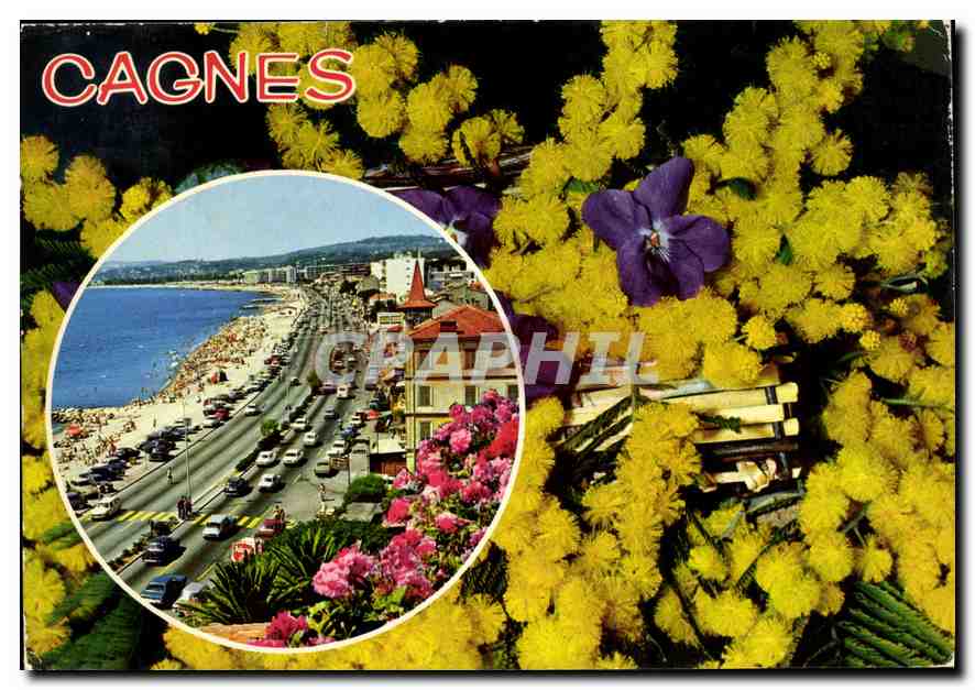 CPM Cote d'Azur French Riviera Cros de Cagnes Alpes Maritimes 