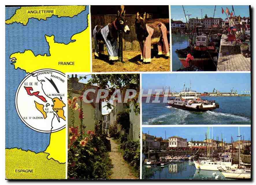 CPM Ile De Re Charente Maritime Angleterre Espagne 