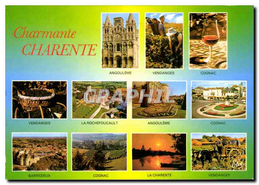 CPM Charmante Charente Charente Panorama sur la Charente 