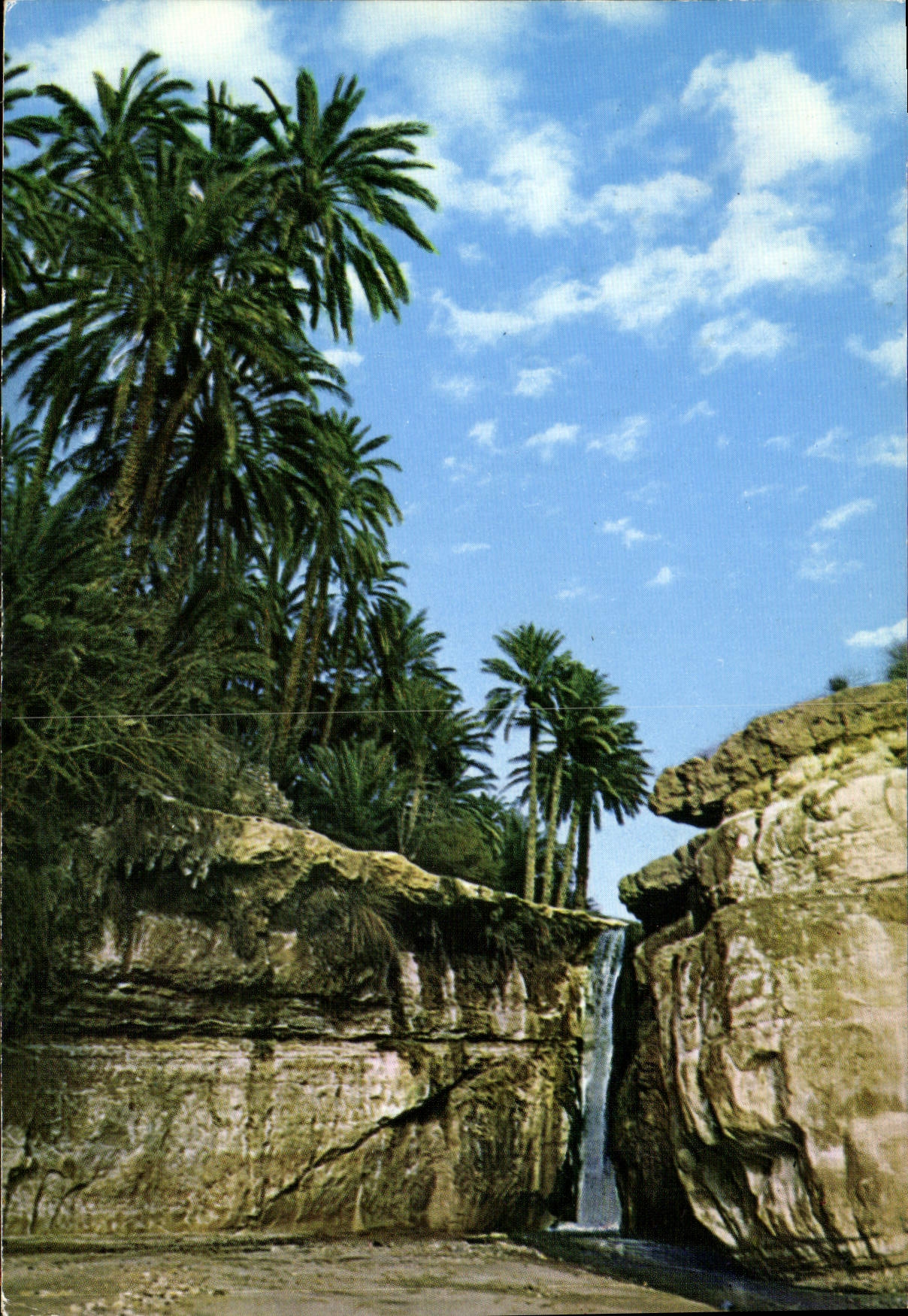 CPM Tamerza Oasis de Montagne 