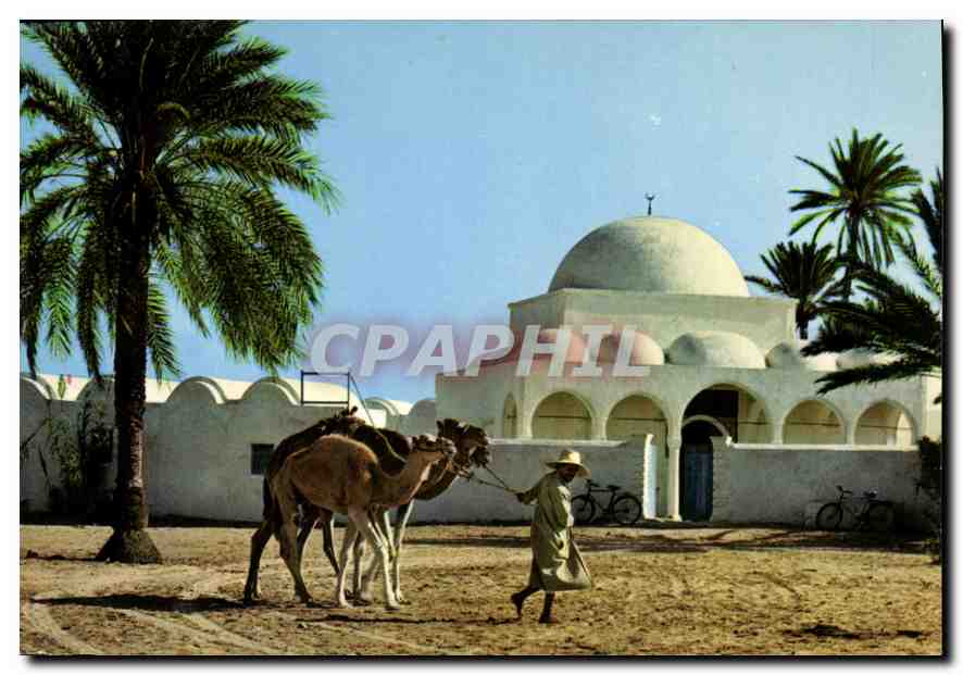 CPM Jerba La Mosquee de Mahboubine 