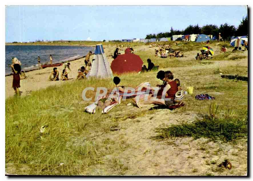 CPM Cote de Lumiere Ile De Re Chte Mme La Plage de Rivedoux 