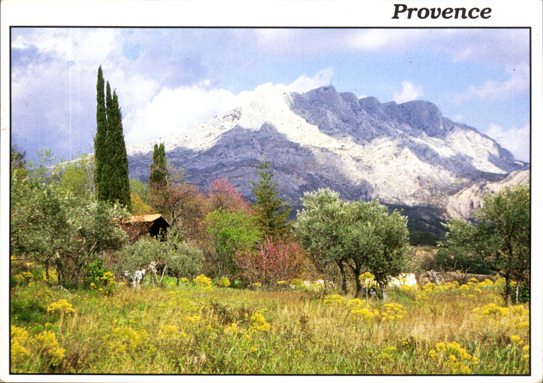 CPM Reflets de Provence 