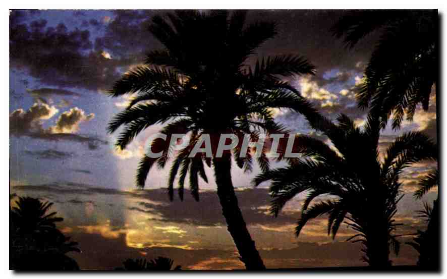 CPM La Cote d'Azur inoubliable 