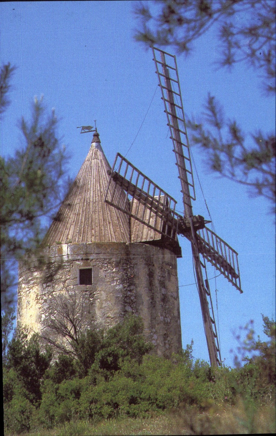 CPM Le Moulin de Daudet 