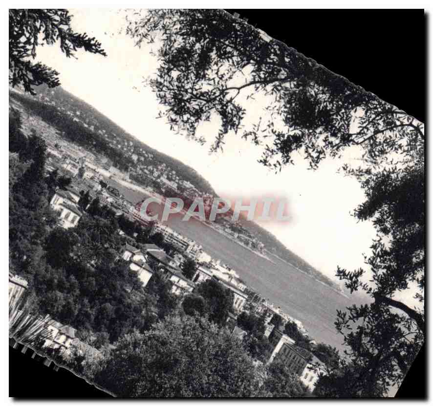 CPM Nice Vue prise de Bellet entre les oliviers 
