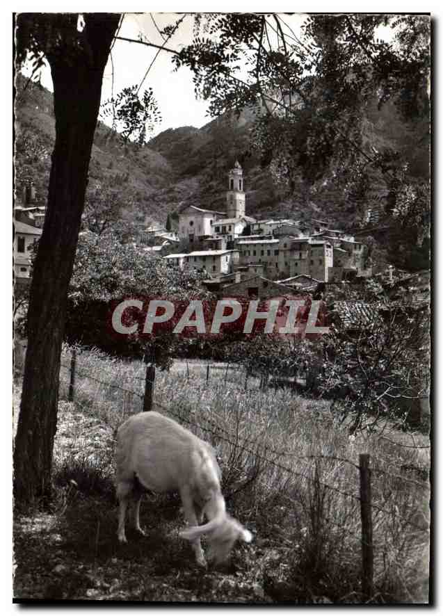 CPM Luceram Village medieval Vue generale Chevre