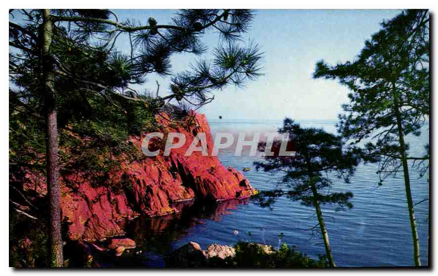 CPM Charme et Soleil de la Cote d'Azur Paradis mediterraneen Les roches rouges 