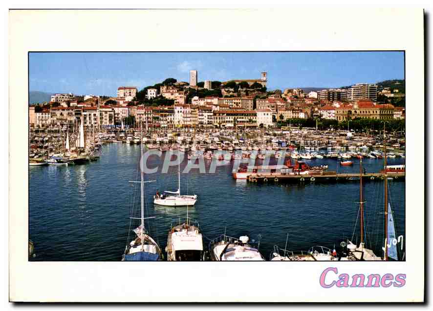 CPM La Cote d'Azur Cannes Alpes Maritimes Le Vieux Port domine par le Suquet 