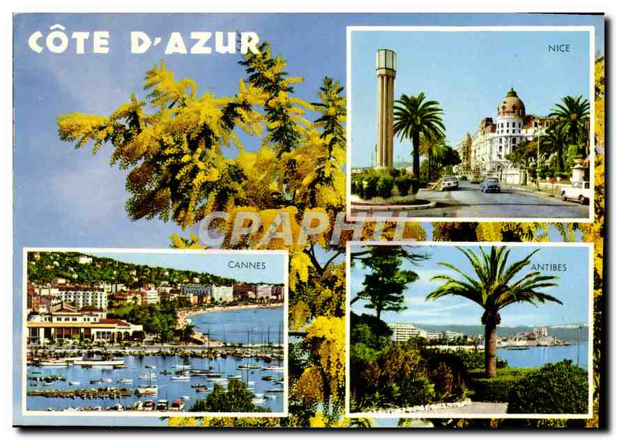 CPM Souvenir de la Cote d'Azur Nice Cannes Antibes 