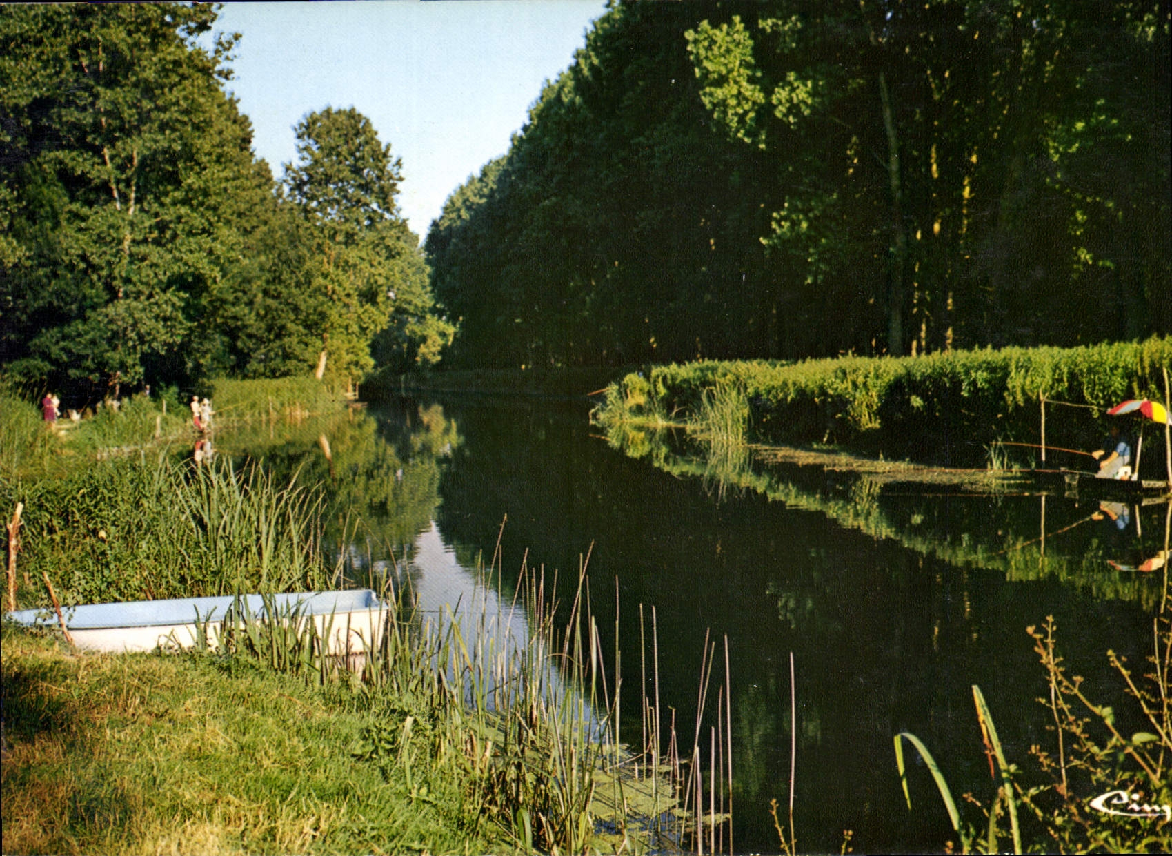 CPM Tonnay Boutonne Char Mar Rive de la Boutonne 