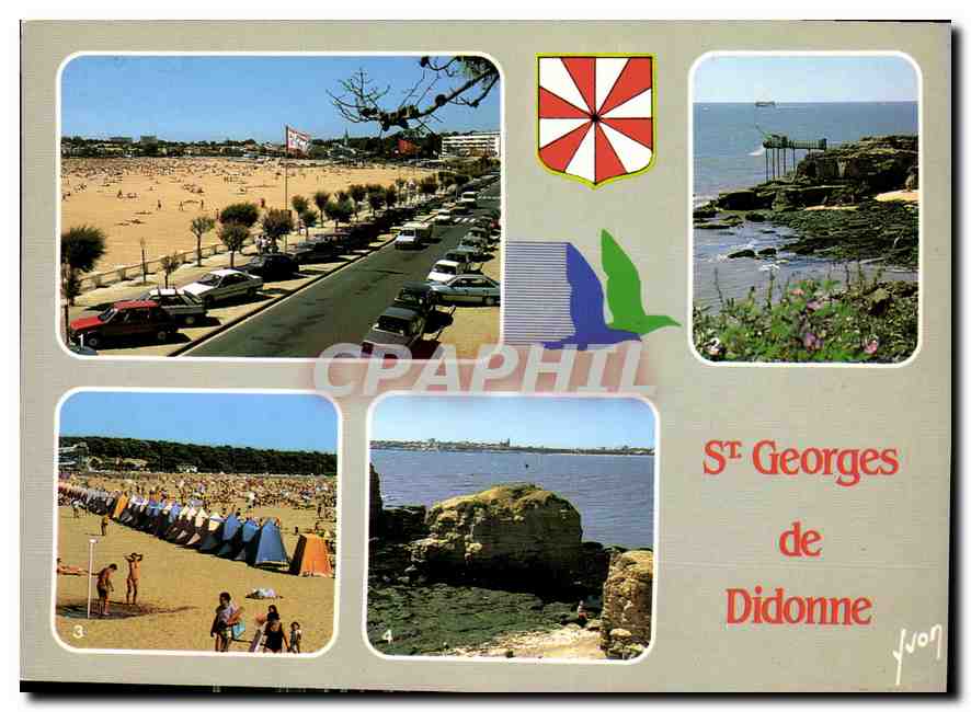 CPM Saint Georges de Didonne Charente Maritime 