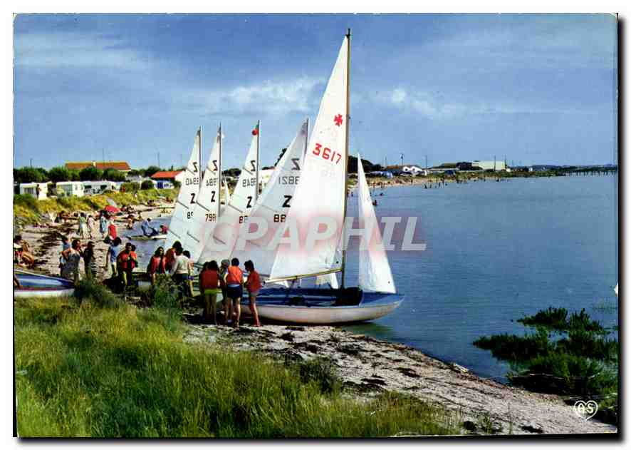 CPM Fouras La Flotte des Voiliers du Village 
