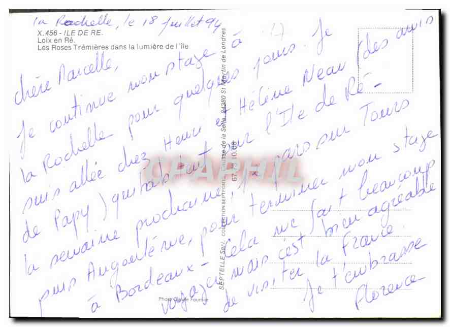 CPM Ile De Re Loix en Re Les Roses Tremieres dans la lumiere de l'Ile  — Rückseite
