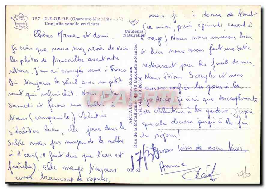 CPM Ile de Re Charente Maritime Une jolie vanelie en fleurs  — Back