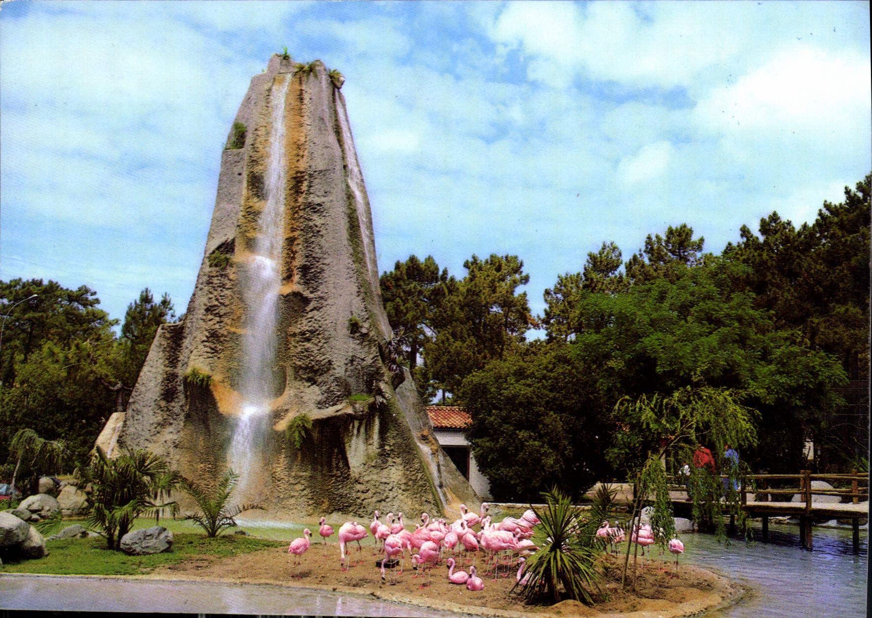 CPM Parc Zoologique de la Palmyre Royan La Cascade et les flamants roses 