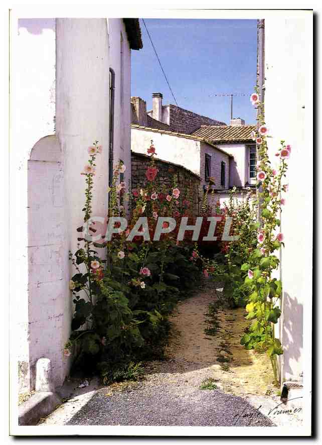 CPM Ile de Re Sainte Marie de Re 