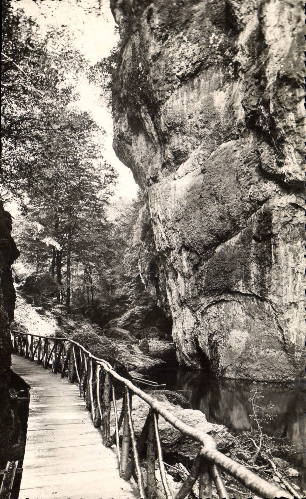 CPM Environs d'Aurillac Cantal Gorges de la Cere Le Pas de la Cere 