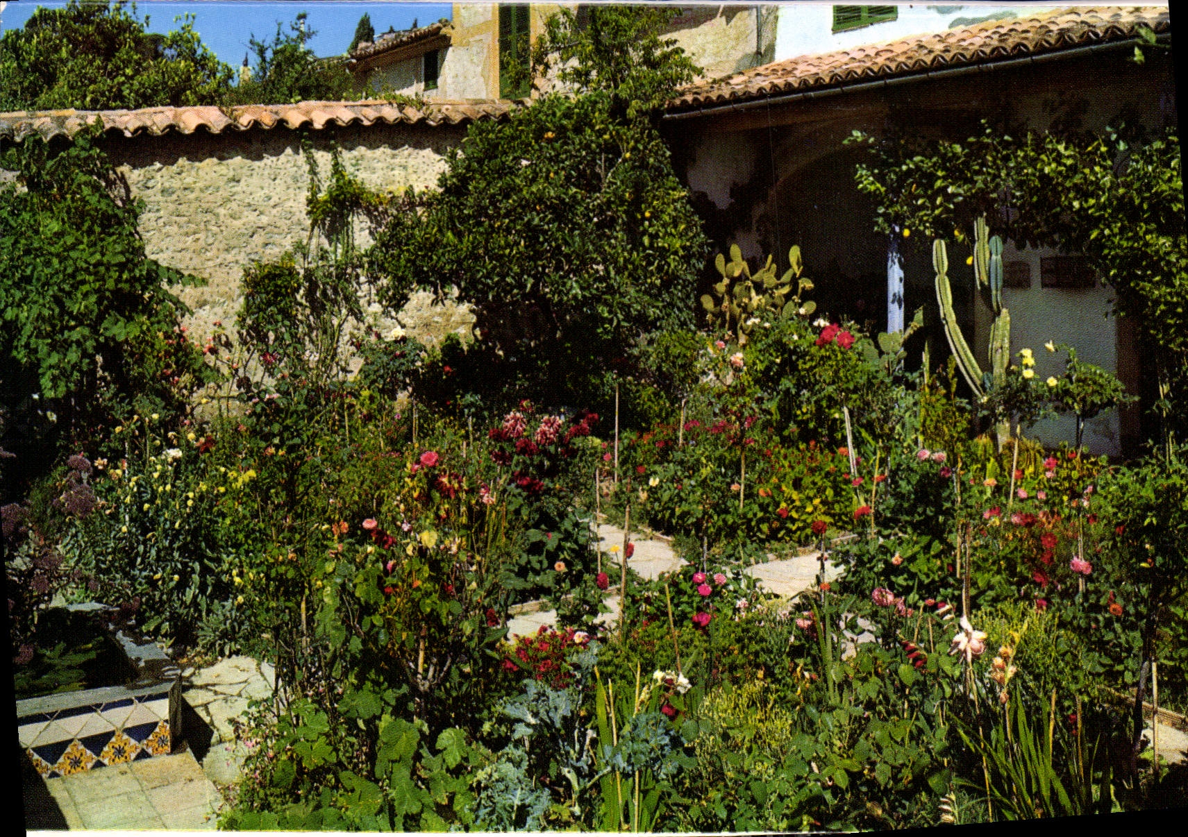 CPM Mallorca Valldemosa Jardin de la Celda de Chopin y George Sand 