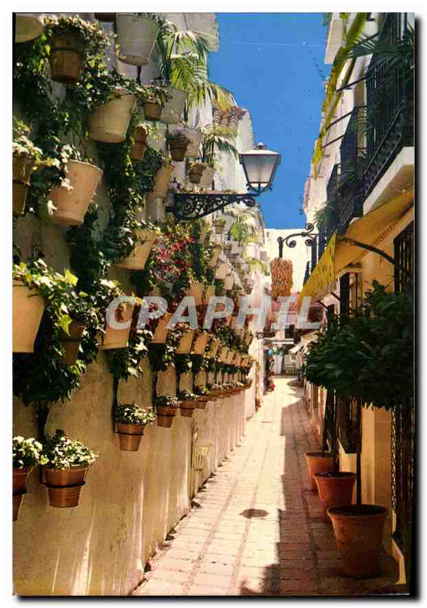CPM Marbella Malaga Calle Tipica Rue Tipique 