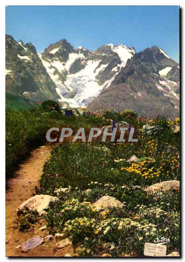 Le Jardin Alpin au Col du Lautaret — (2058 m) et Massif de la Meije (3983 m) — Éditeur SPADEM, n° 05 PE 62