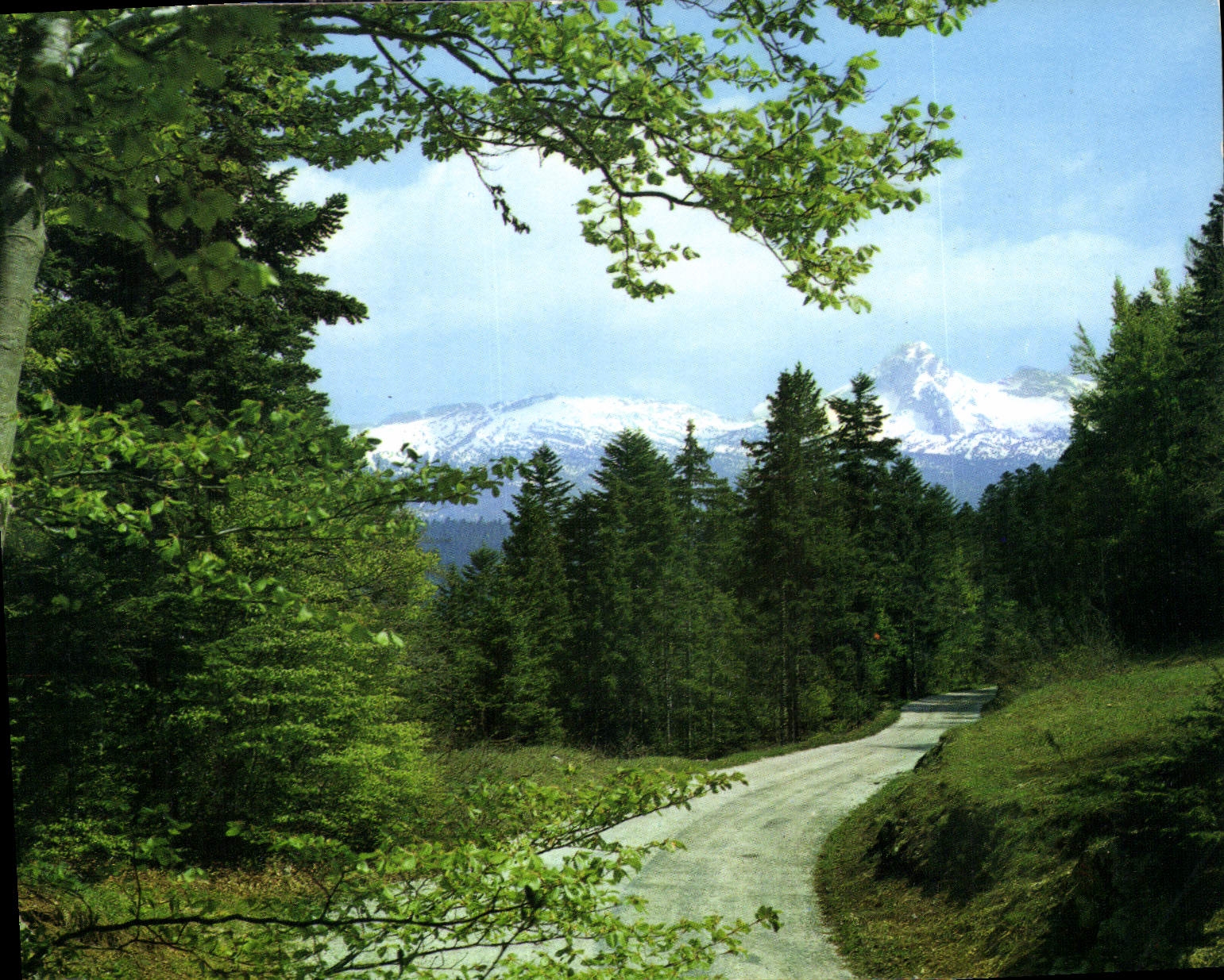 CPM Les Alpes Pittoresques Villard de Lans Isere 