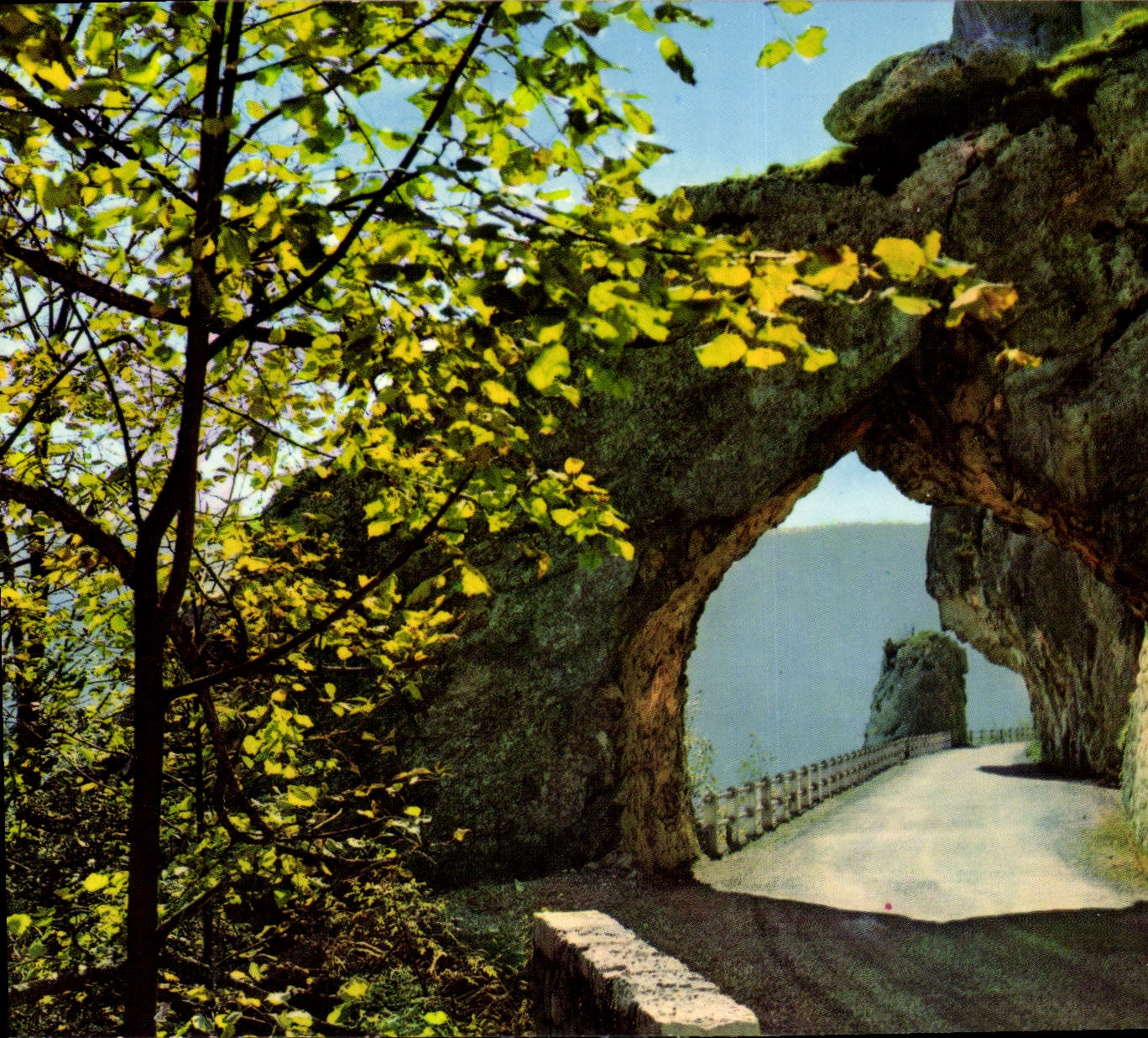 CPM Les Alpes touristiques Le Royans Route de Combe Laval La roche fendue 
