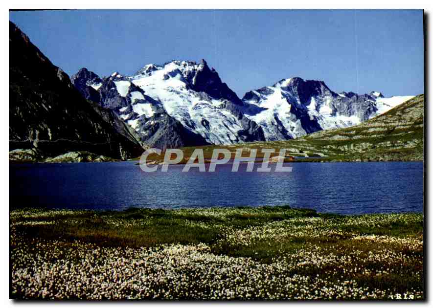 Les Linaigrettes au bord du Goléon — Oisans — éditeur IRIS, n°38