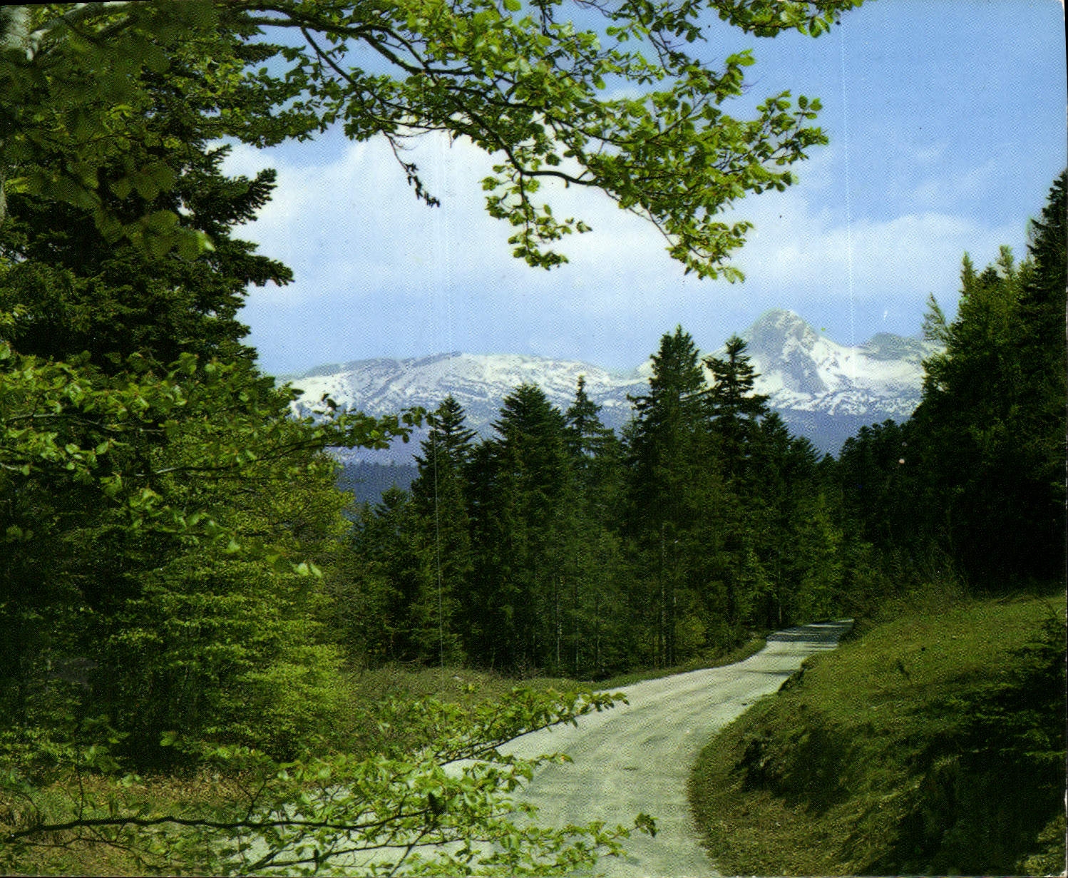 Les Alpes touristiques — Promenade à Bois-Barbu (1050 m) — Éditions Grenoble SPADEM