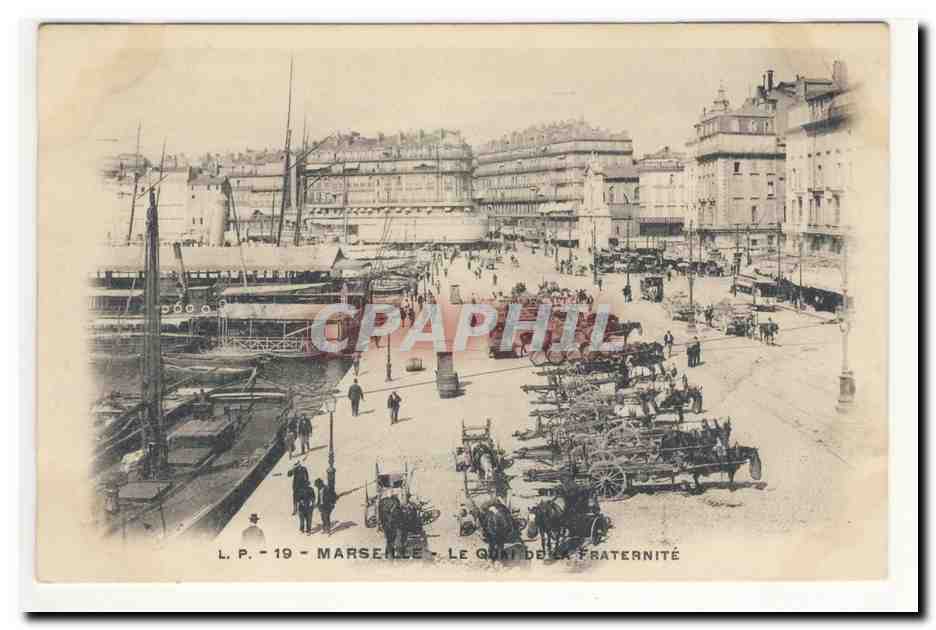 MArSEILLE le quai de la Fraternite Port Bateaux Chevaux Animation CPA