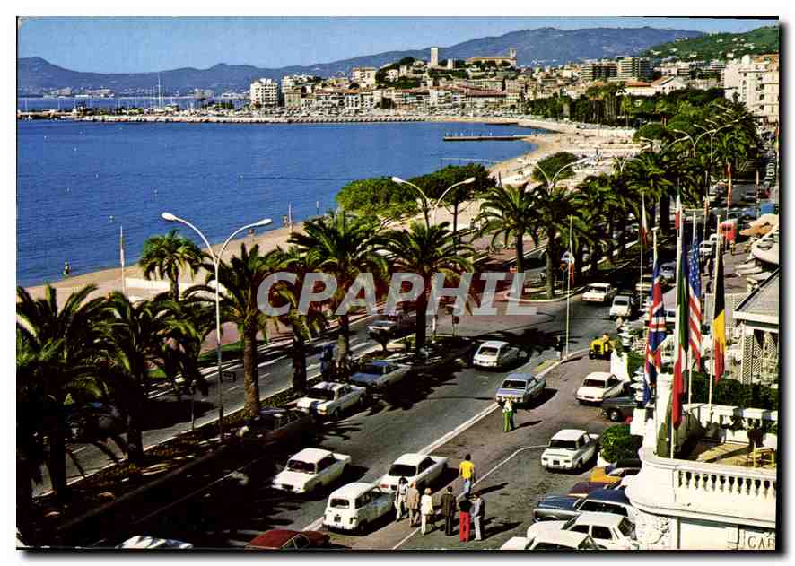CPM Cannes Cote d'Azur la Croisette au fond le Suquet 