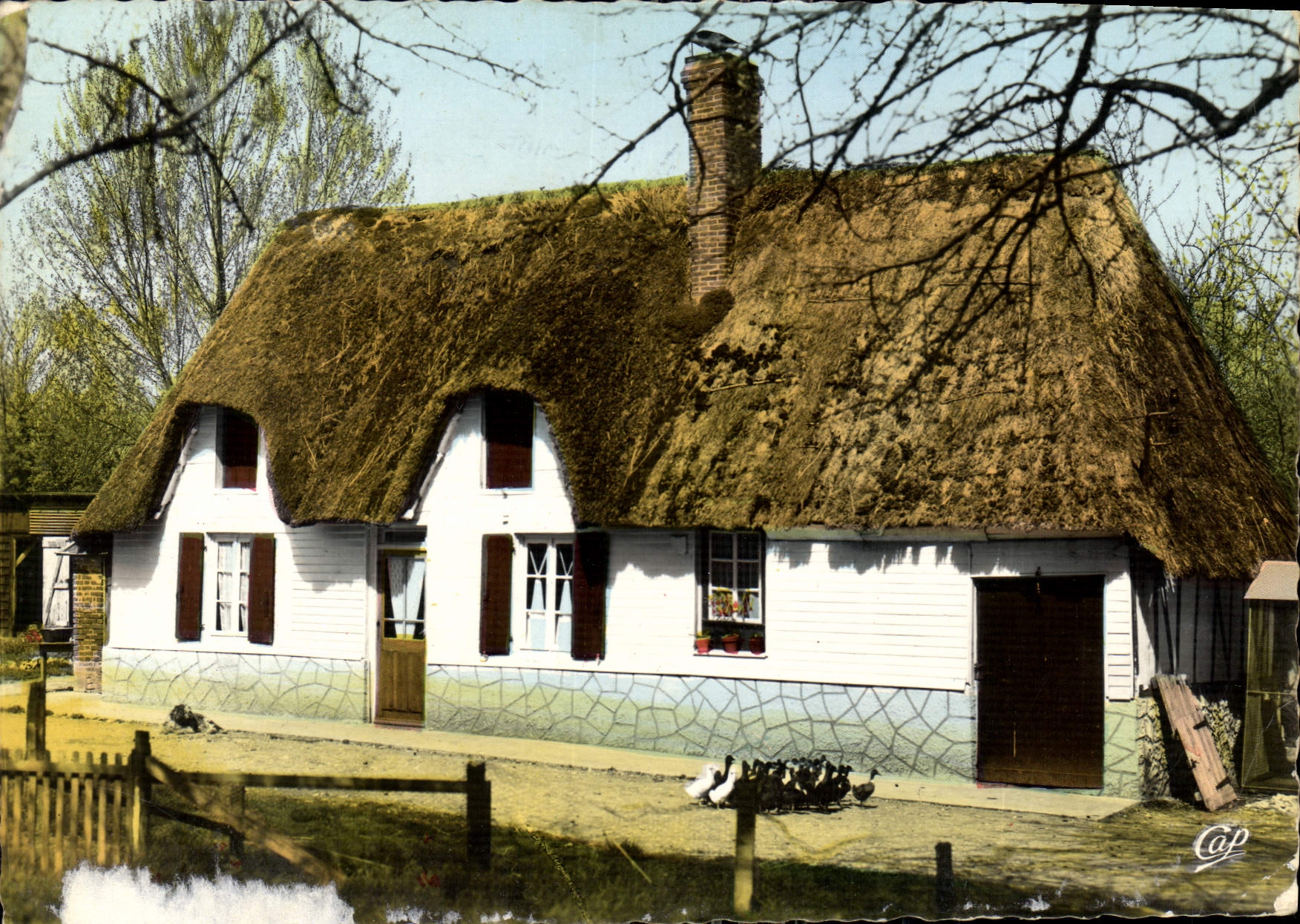 CPM La Luxuriante Normandie Maison Normande au toit de Chaume 