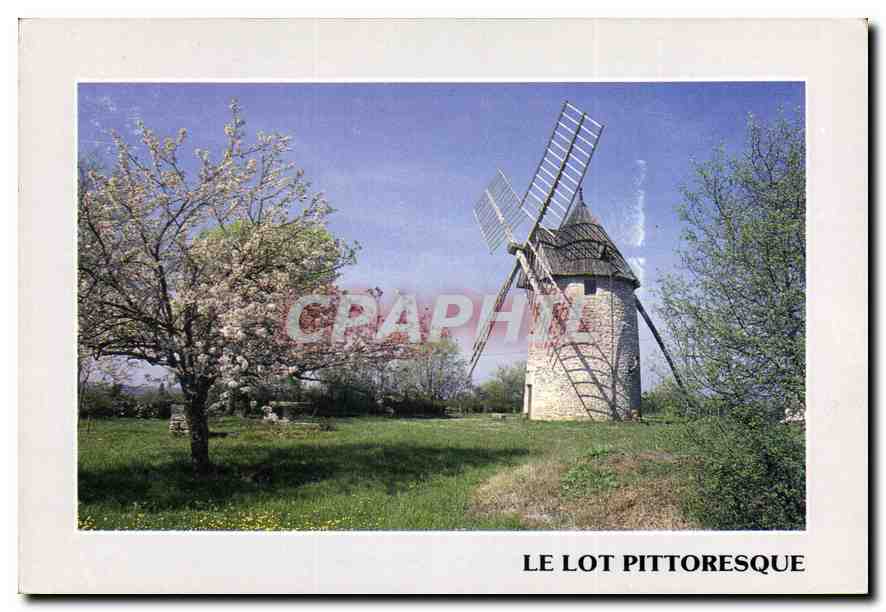 CPM Le Lot au Hasard d'une Promenade sur les Causses 