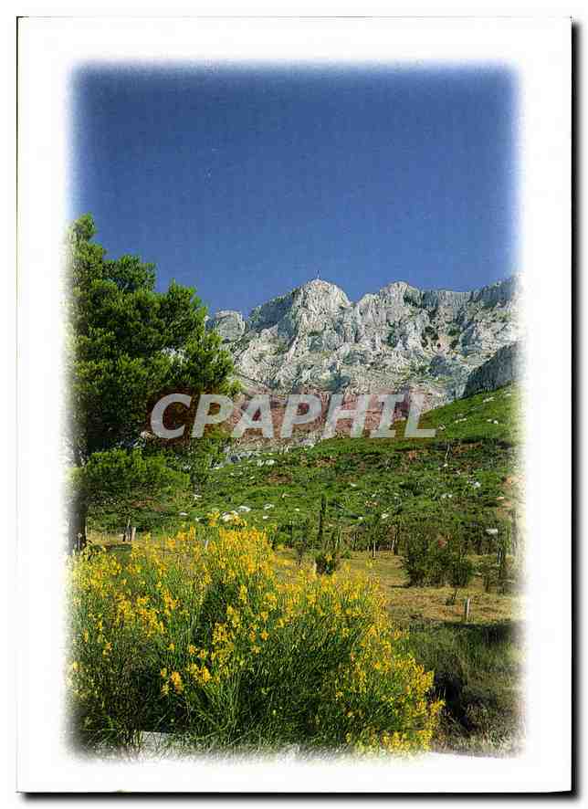 CPM La Provence et ses Charmes Aix en provence Montagne Sainte Victoire 
