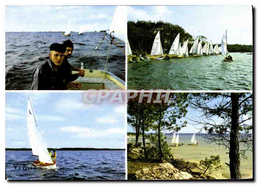 CPM Visage des Landes course de regates sur nos Locs le Tranquille miroir est Picore de Voiles qui s