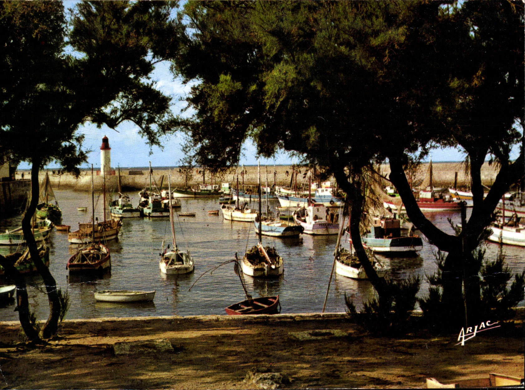 CPM Sur la Cote de lumiere Ile d'oleron La Cotiniere Port de Peche 