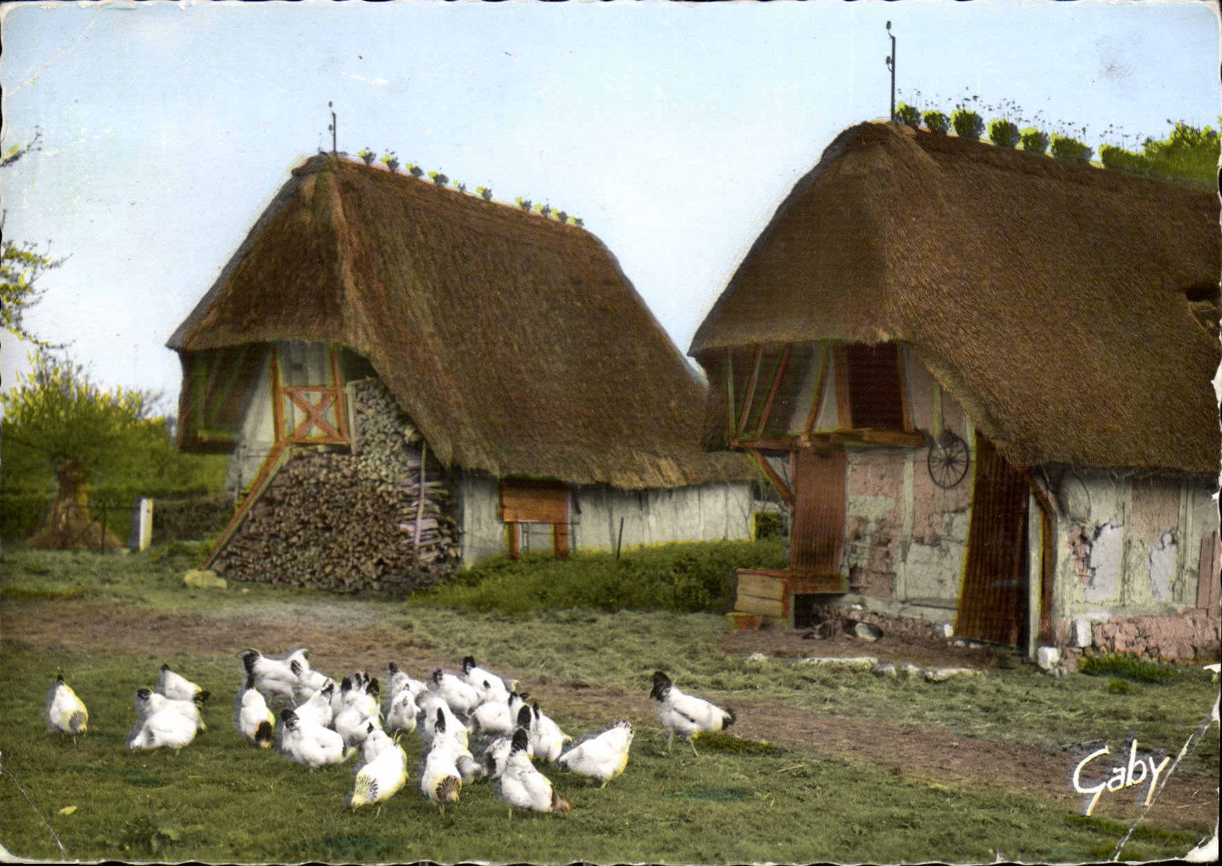 CPM La Normandie Cour de Ferme 